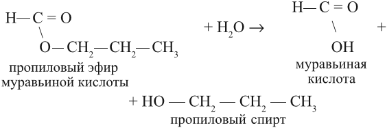 Составьте уравнения реакций гидролиза для метилбутирата